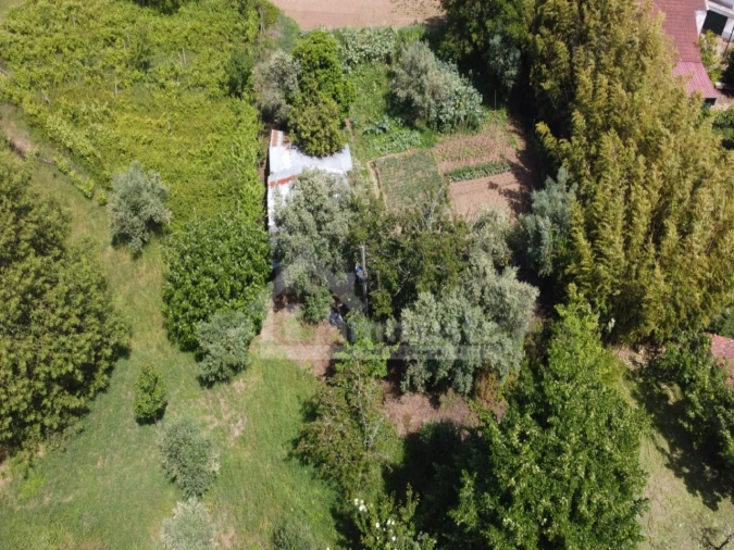 Moradia para Venda em Figueiró dos Vinhos e Bairradas Foto 3