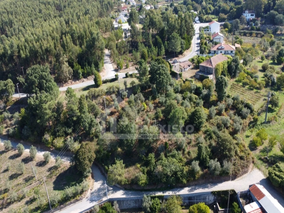 Quinta T1 para Venda em Figueiró dos Vinhos e Bairradas Foto 4