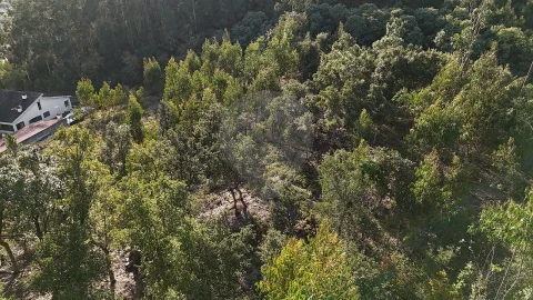Terreno para Venda em Cernache