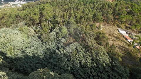 Terreno para Venda em Cernache