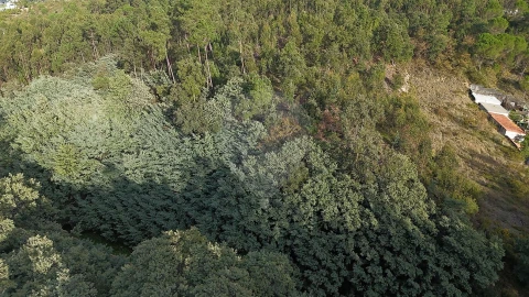 Terreno para Venda em Cernache