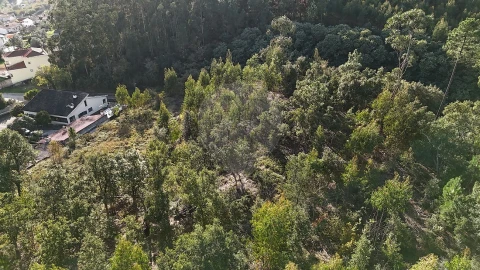 Terreno para Venda em Cernache