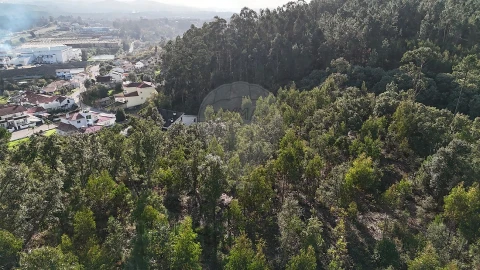 Terreno para Venda em Cernache