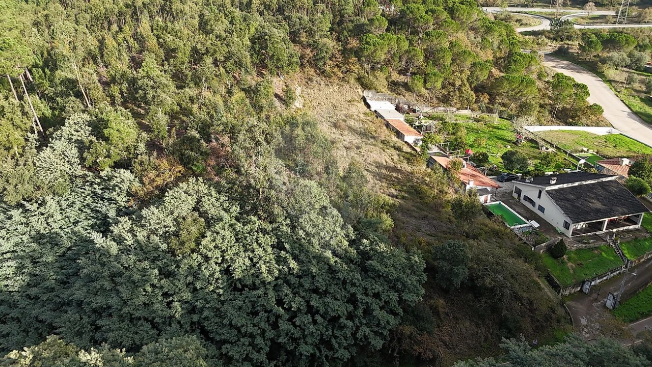 Terreno para Venda em Cernache Foto 8
