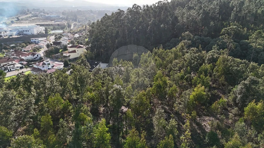 Terreno para Venda em Cernache Foto 2