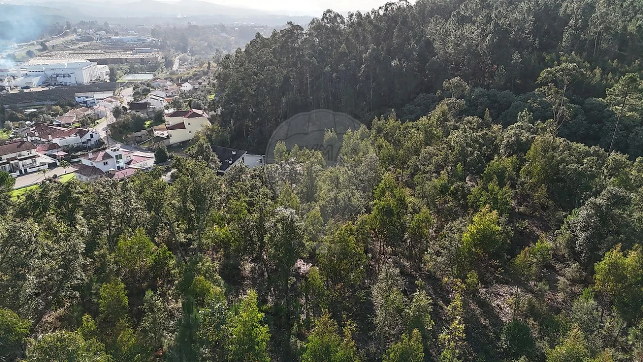 Terreno para Venda em Cernache Foto 2