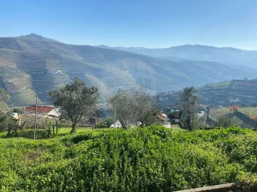 Moradia T4 para Venda em Loureiro