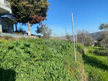 Moradia T4 para Venda em Loureiro