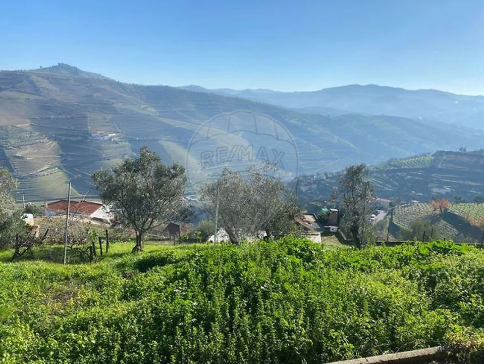 Moradia T4 para Venda em Loureiro Foto 34