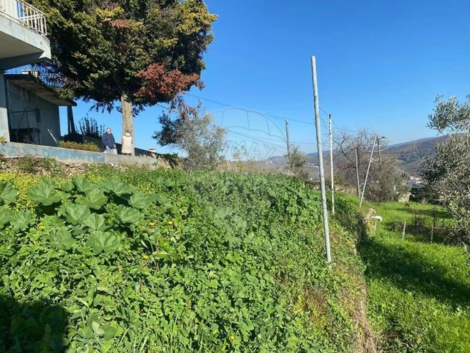 Moradia T4 para Venda em Loureiro Foto 32