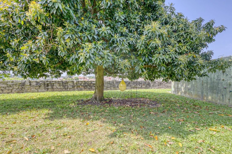 Moradia T5 para Venda em Milheiros Foto 44