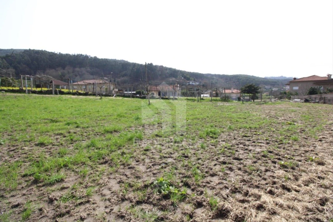Terreno para Venda em Este (São Pedro e São Mamede) Foto 12