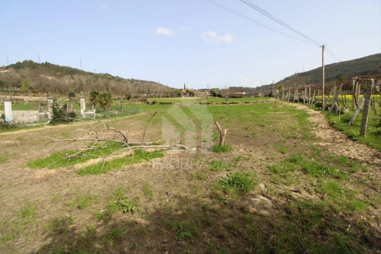 Terreno para Venda em Este (São Pedro e São Mamede) Foto 7