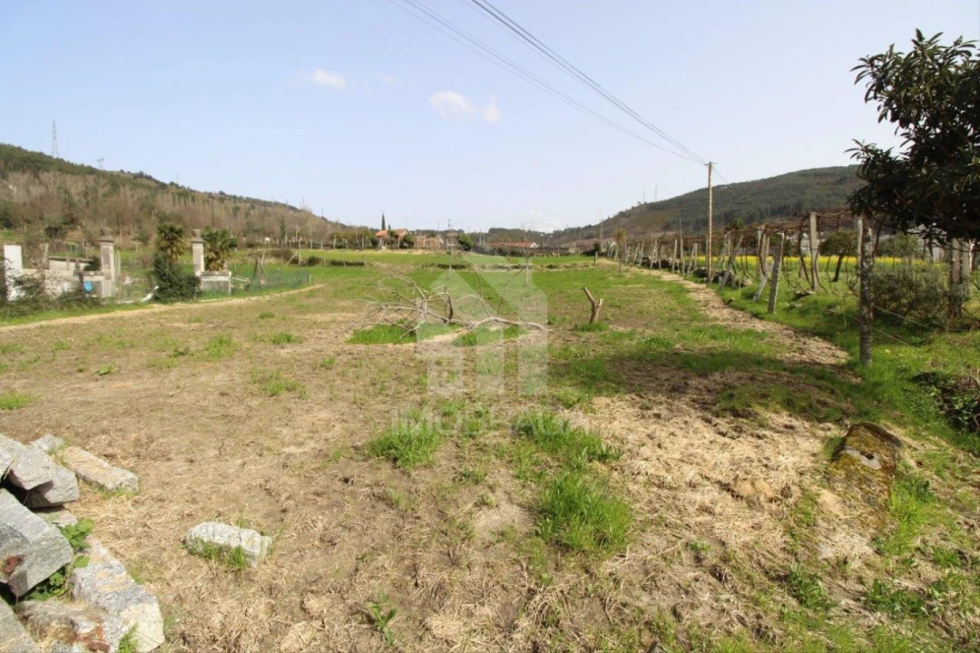 Terreno para Venda em Este (São Pedro e São Mamede) Foto 5