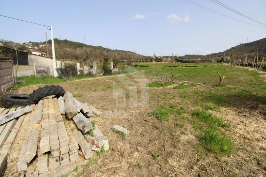 Terreno para Venda em Este (São Pedro e São Mamede) Foto 6