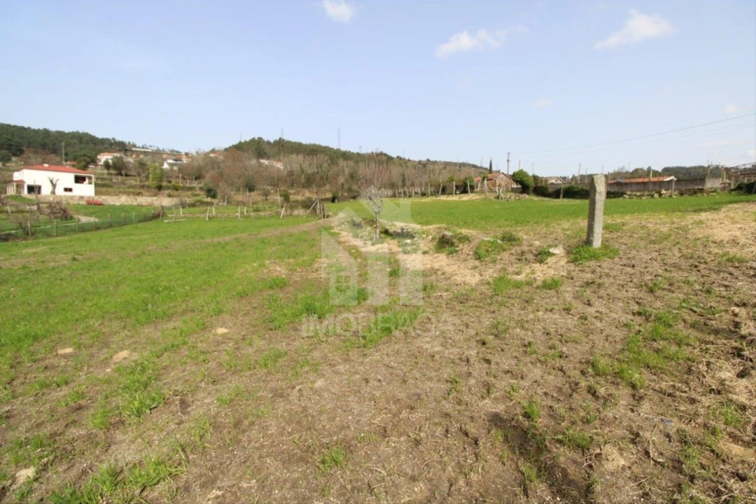 Terreno para Venda em Este (São Pedro e São Mamede) Foto 11