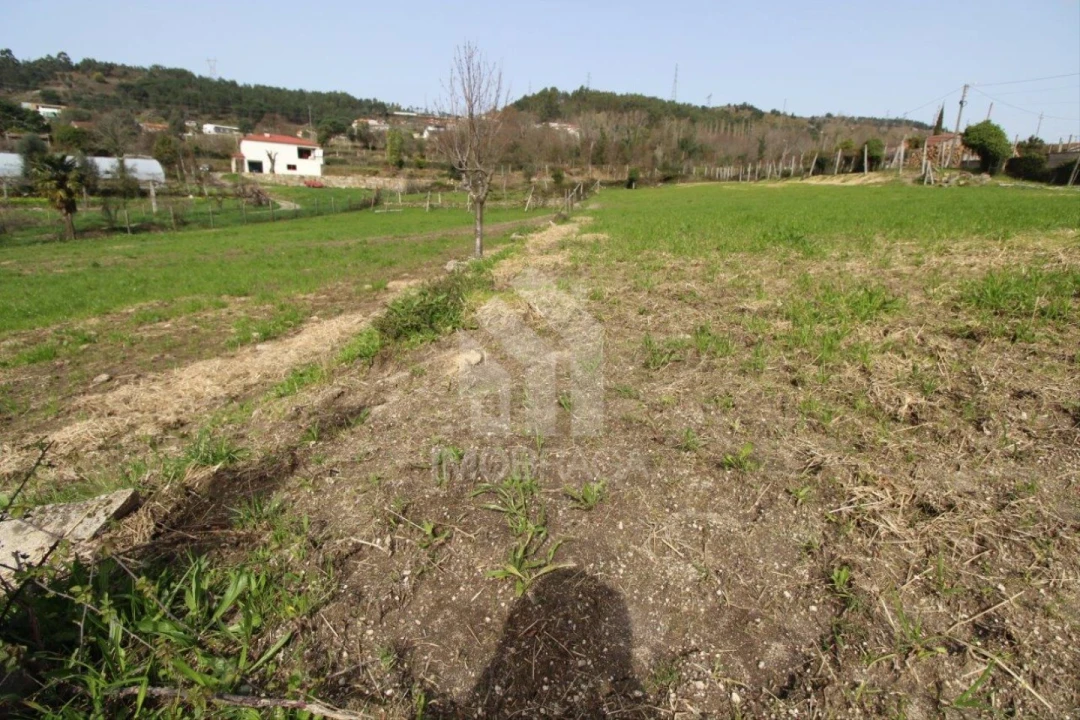 Terreno para Venda em Este (São Pedro e São Mamede) Foto 13