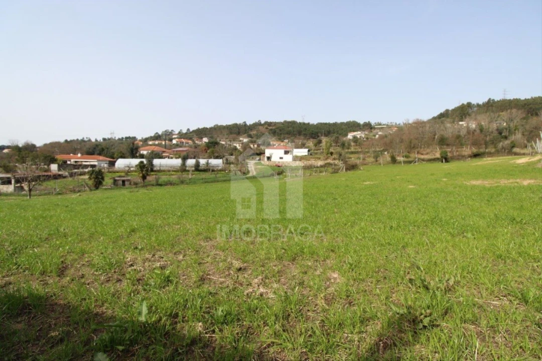 Terreno para Venda em Este (São Pedro e São Mamede) Foto 17