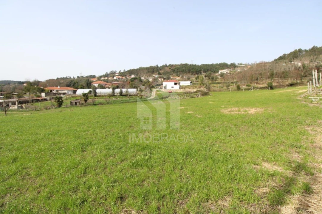 Terreno para Venda em Este (São Pedro e São Mamede) Foto 18