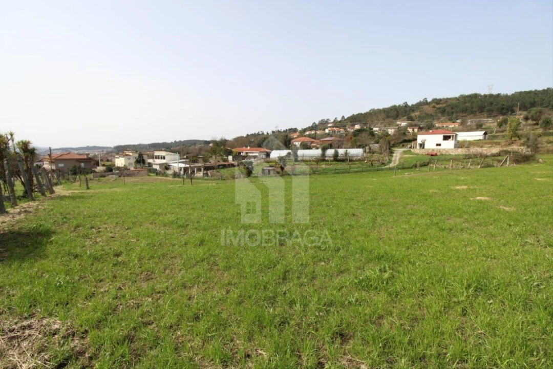 Terreno para Venda em Este (São Pedro e São Mamede) Foto 19