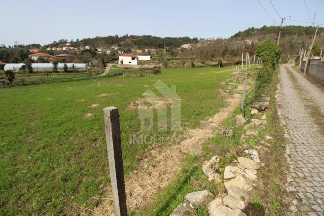 Terreno para Venda em Este (São Pedro e São Mamede) Foto 22