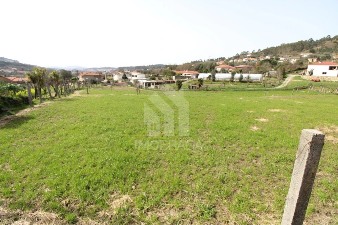 Terreno para Venda em Este (São Pedro e São Mamede) Foto 23