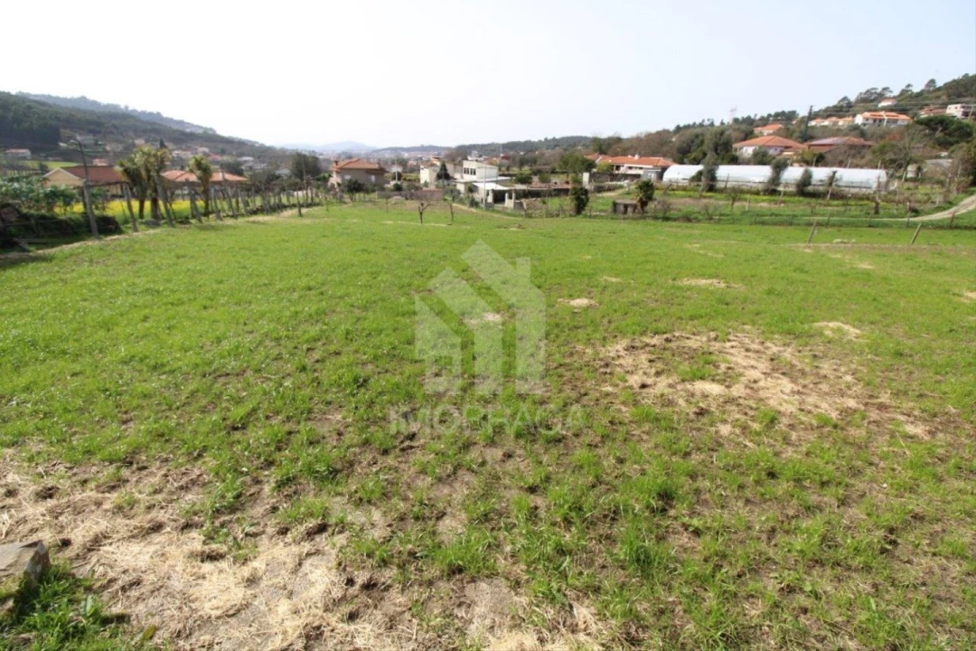 Terreno para Venda em Este (São Pedro e São Mamede) Foto 24