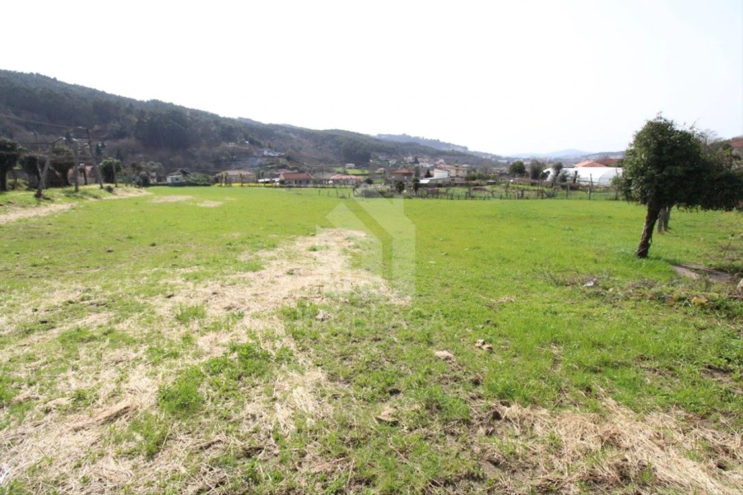 Terreno para Venda em Este (São Pedro e São Mamede) Foto 29