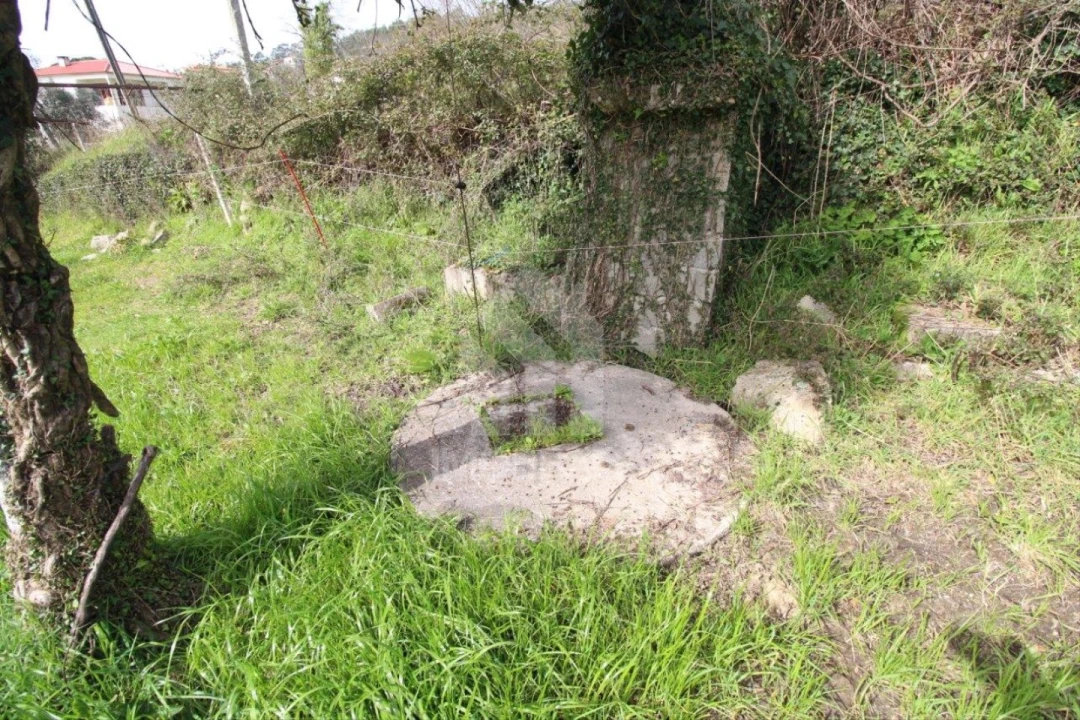 Terreno para Venda em Este (São Pedro e São Mamede) Foto 30
