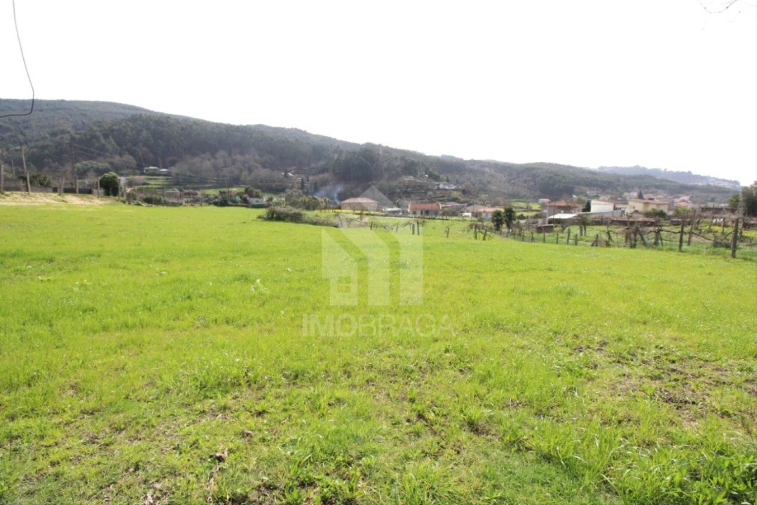 Terreno para Venda em Este (São Pedro e São Mamede) Foto 32