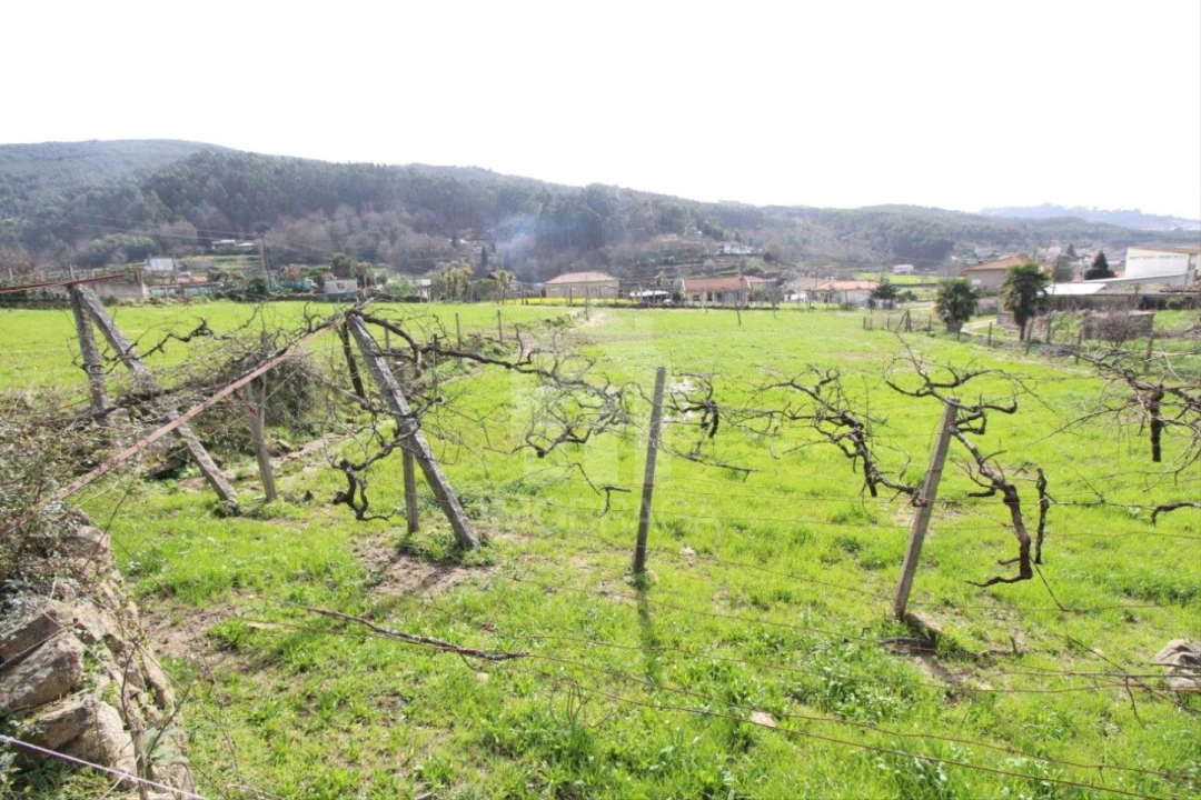 Terreno para Venda em Este (São Pedro e São Mamede) Foto 36