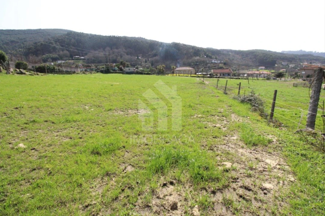 Terreno para Venda em Este (São Pedro e São Mamede) Foto 38