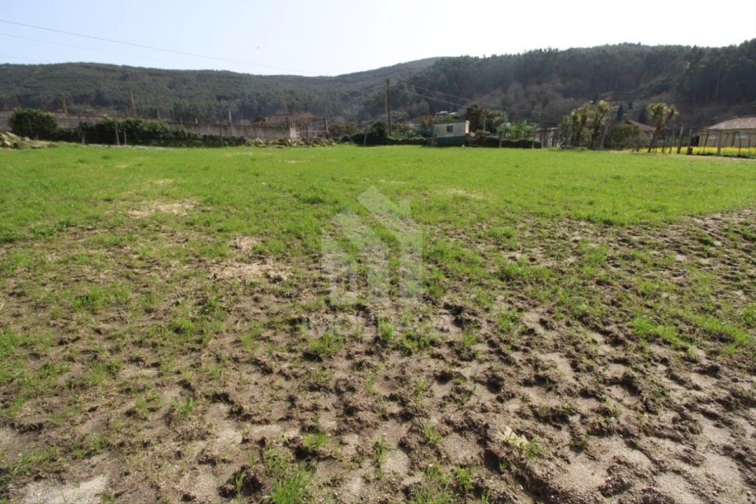 Terreno para Venda em Este (São Pedro e São Mamede) Foto 39