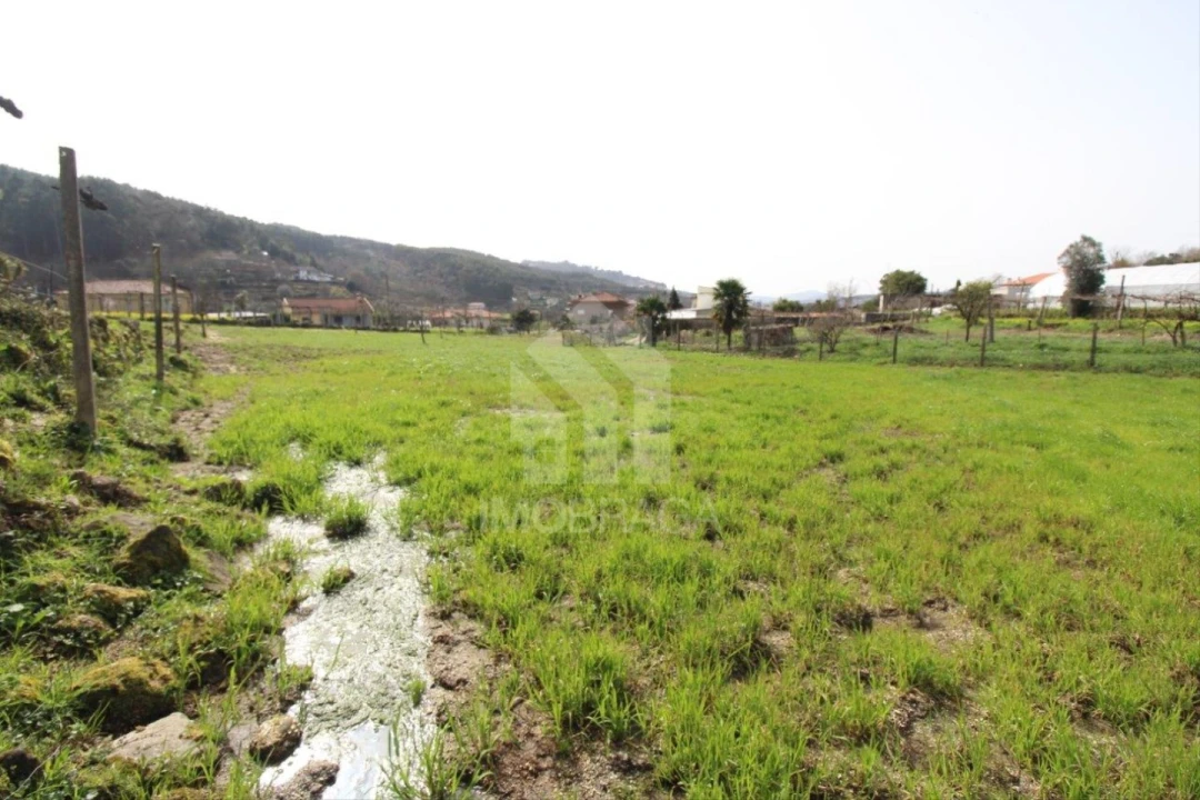 Terreno para Venda em Este (São Pedro e São Mamede) Foto 42
