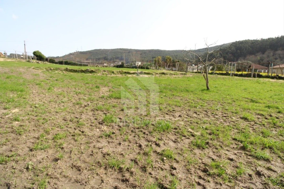 Terreno para Venda em Este (São Pedro e São Mamede) Foto 44