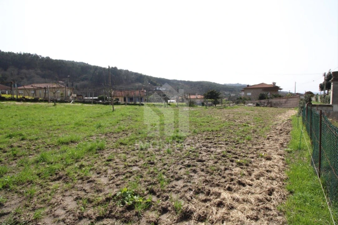 Terreno para Venda em Este (São Pedro e São Mamede) Foto 45