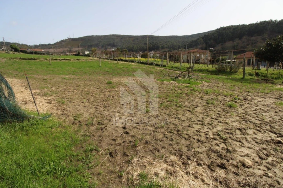 Terreno para Venda em Este (São Pedro e São Mamede) Foto 46