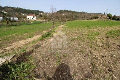 Terreno para Venda em Este (São Pedro e São Mamede)
