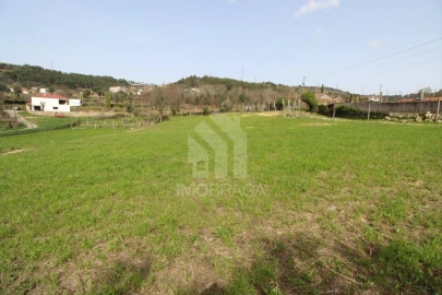 Terreno para Venda em Este (São Pedro e São Mamede)