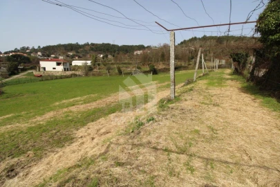 Terreno para Venda em Este (São Pedro e São Mamede)