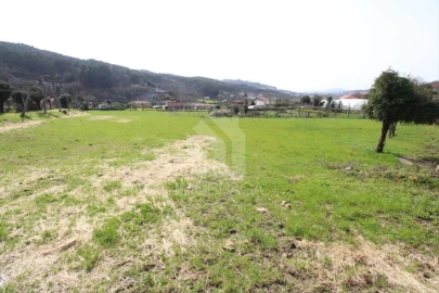 Terreno para Venda em Este (São Pedro e São Mamede)