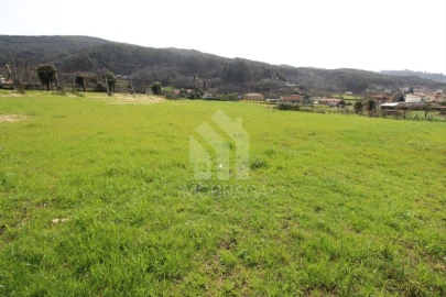 Terreno para Venda em Este (São Pedro e São Mamede)