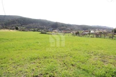 Terreno para Venda em Este (São Pedro e São Mamede)