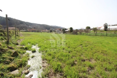 Terreno para Venda em Este (São Pedro e São Mamede)
