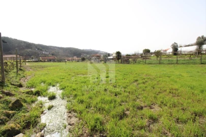 Terreno para Venda em Este (São Pedro e São Mamede)