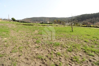 Terreno para Venda em Este (São Pedro e São Mamede)