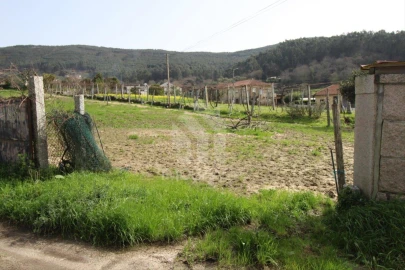 Terreno para Venda em Este (São Pedro e São Mamede)