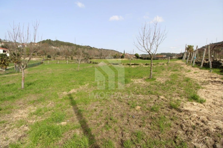 Terreno para Venda em Este (São Pedro e São Mamede) Foto 9