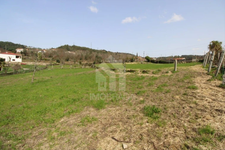 Terreno para Venda em Este (São Pedro e São Mamede) Foto 10