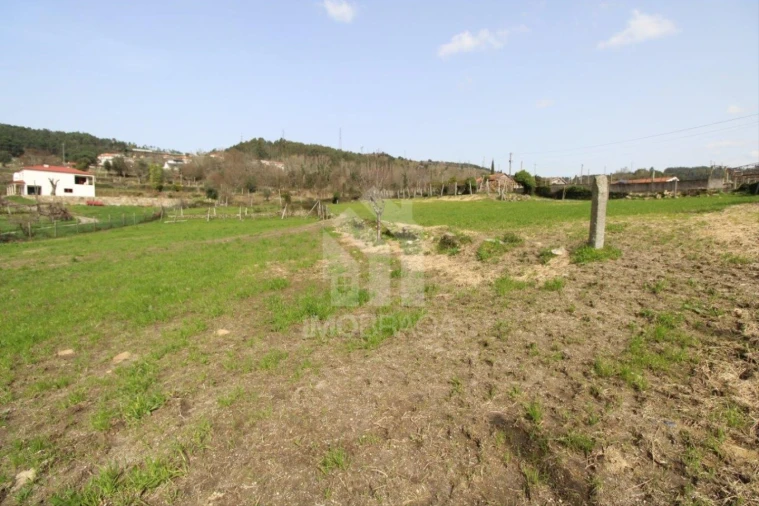 Terreno para Venda em Este (São Pedro e São Mamede) Foto 11